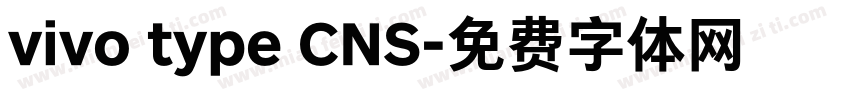 vivo type CNS字体转换